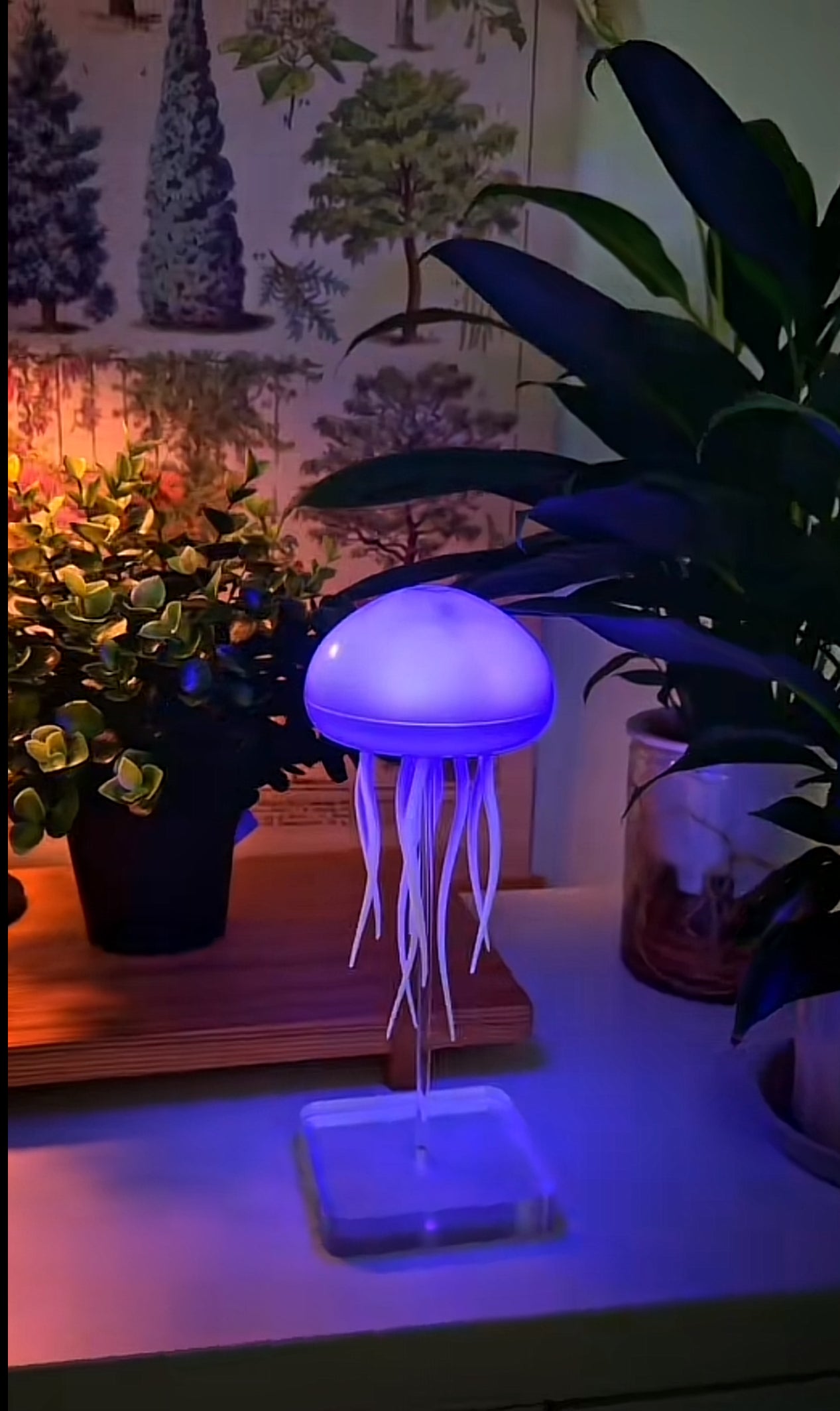 Floating jellyfish lamp