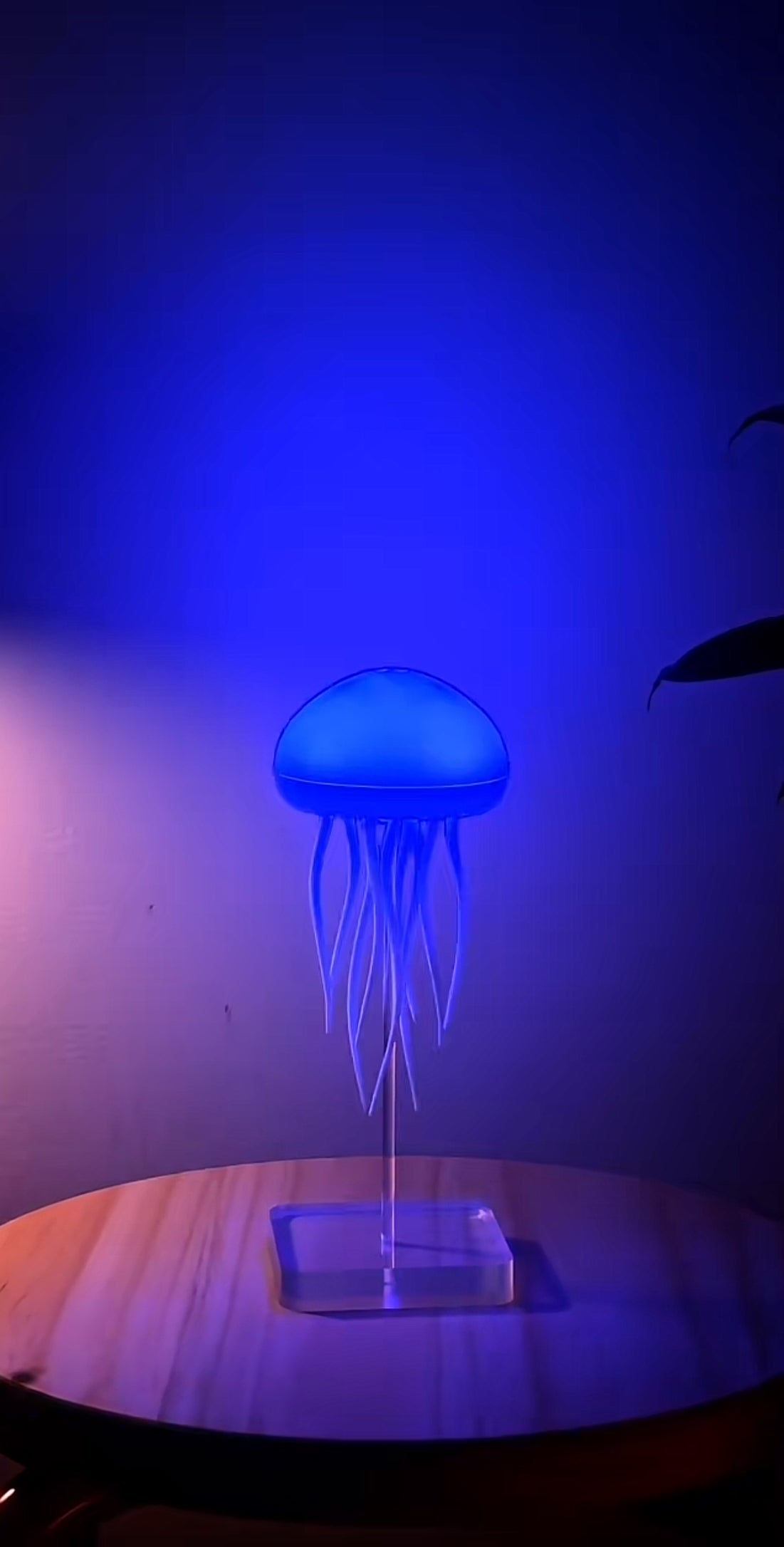 Floating jellyfish lamp